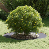 Flat Tree Ring Anthracite Ø50 / 80 cm Steel