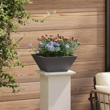 Garden Bowl Planter Black 35 x 35 x 15 cm Steel