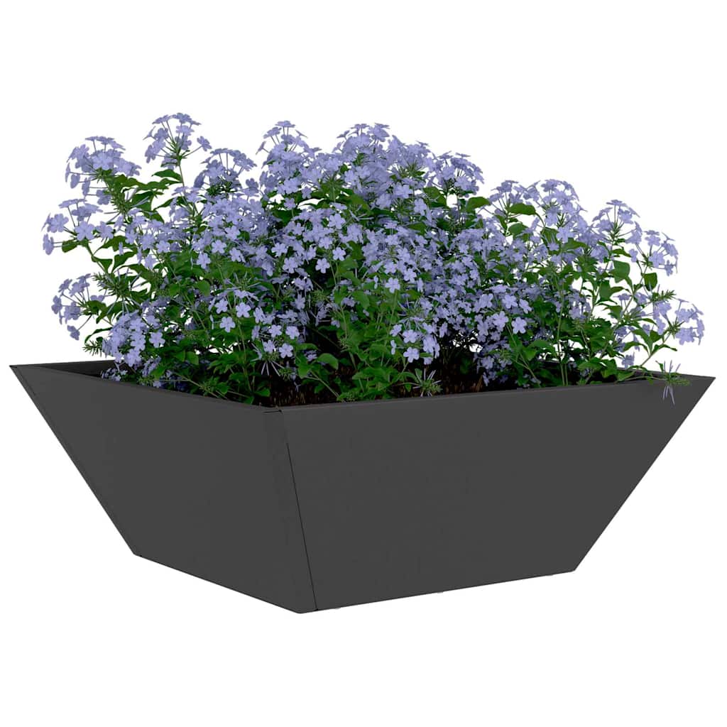 Garden Bowl Planter Black 40 x 40 x 15 cm Steel
