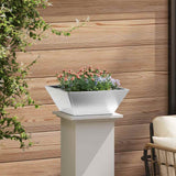 Garden Bowl Planter Silver 40 x 40 x 15 cm Stainless steel