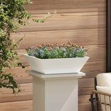 Garden Bowl Planter White 50 x 50 x 15 cm Steel