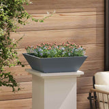 Garden Bowl Planter Anthracite 50 x 50 x 15 cm Steel