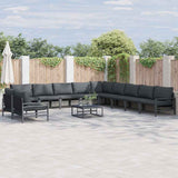 Garden Sofa Set 12 pcs Anthracite Steel