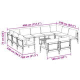 Garden Sofa Set 12 pcs Anthracite Steel