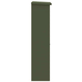 Parcel Drop Box Olive green 44.5 x 29 x 110.5 cm Steel