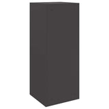 Parcel Drop Box Black 41 x 38 x 103 cm Steel