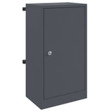 Mailbox Anthracite 30 x 23 x 55 cm Steel