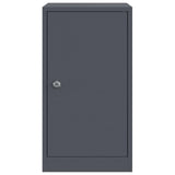 Mailbox Anthracite 30 x 23 x 55 cm Steel