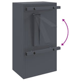 Mailbox Anthracite 30 x 23 x 55 cm Steel
