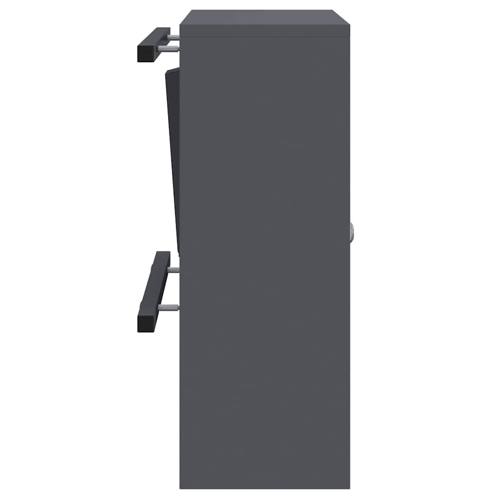 Mailbox Anthracite 30 x 23 x 55 cm Steel