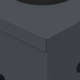 Solar LED Pathway Light 2 pcs Anthracite Cold Rolled Steel