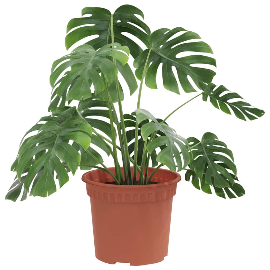 Round Flower Pot 6 pcs Brick Red Ã˜ 12.5 x 10 cm Plastic