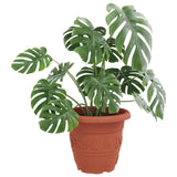 Round Flower Pot 6 pcs Brick Red Ø 39 x 32 cm Plastic