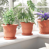 Round Flower Tray 6 pcs Brick Red Ø 17.5 x 2 cm Plastic