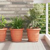 Round Flower Tray 6 pcs Brick Red Ø 21.5 x 2.5 cm Plastic