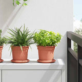 Round Flower Tray 24 pcs Brick Red Ø 14 x 2 cm Plastic