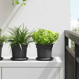 Round Flower Tray 24 pcs Black Ø 14 x 2 cm Plastic