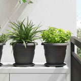 Round Flower Tray 24 pcs Black Ø 17.5 x 2 cm Plastic