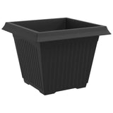 Square Flower Pot 6 pcs Black 43 x 43 x 33.5 cm Plastic