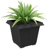 Square Flower Pot 6 pcs Black 43 x 43 x 33.5 cm Plastic