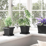 Square Flower Pot 24 pcs Black 16 x 16 x 14 cm Plastic