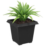Square Flower Pot 24 pcs Black 16 x 16 x 14 cm Plastic