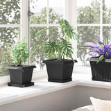 Square Flower Pot 24 pcs Black 20 x 20 x 16 cm Plastic
