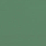 Party Tent Folding Green 292 x 580 x 315 cm Oxford Fabric