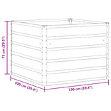Planter Ivory 100 x 100 x 75 cm Steel