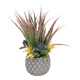 Succulents in Large Lattice Design Grey Pot