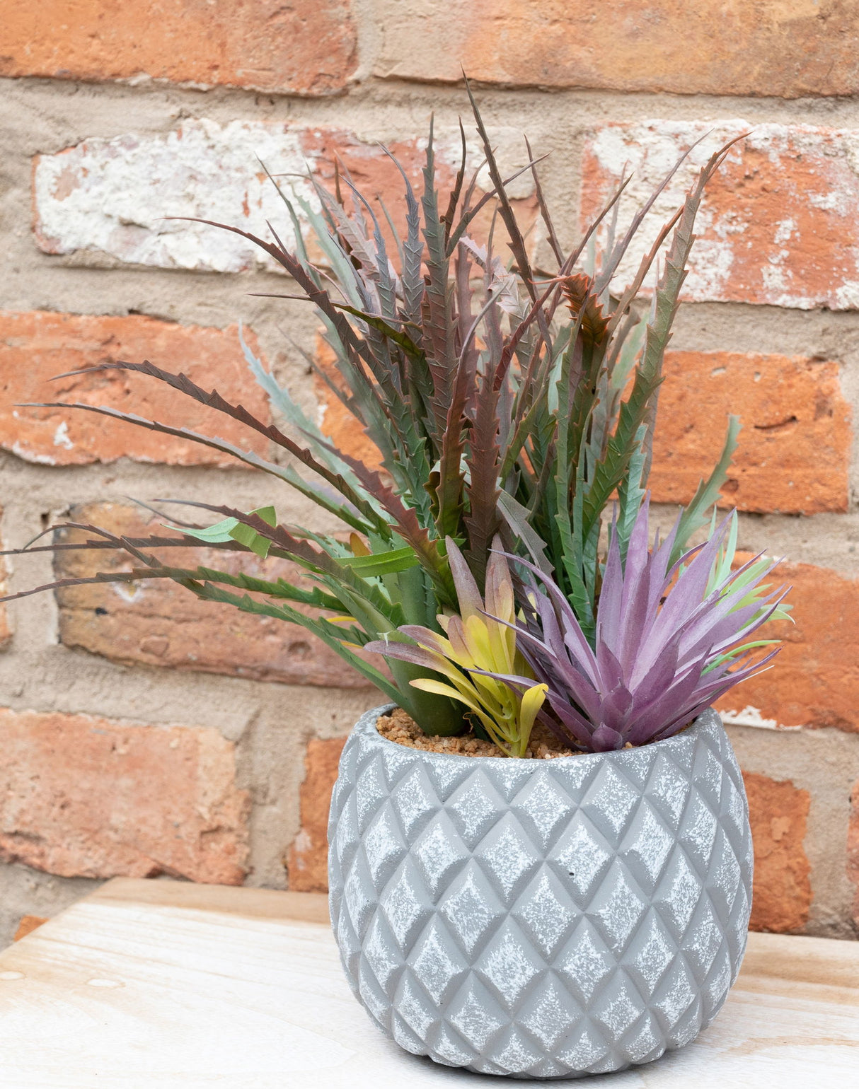 Succulents in Large Lattice Design Grey Pot