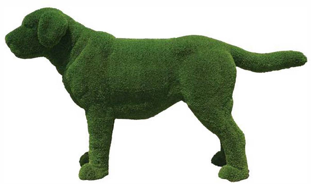 Premium Faux Topiary - Labrador Standing Dog