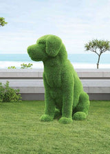 Premium Faux Topiary - Sitting Labrador