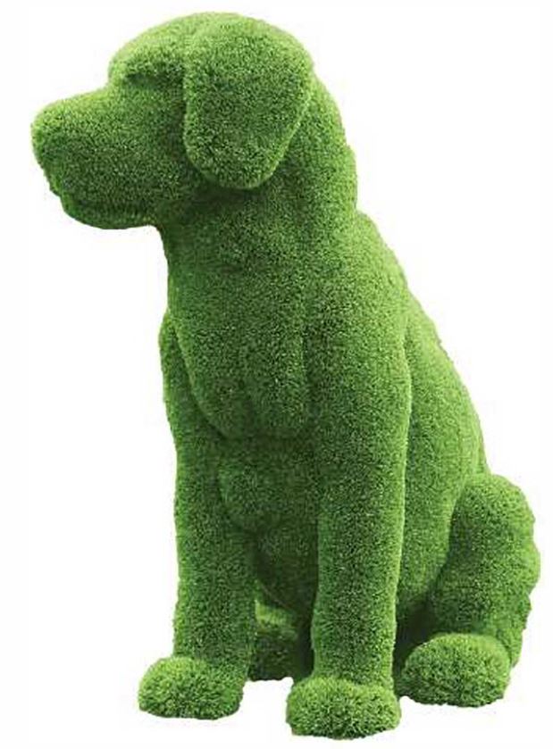 Premium Faux Topiary - Sitting Labrador