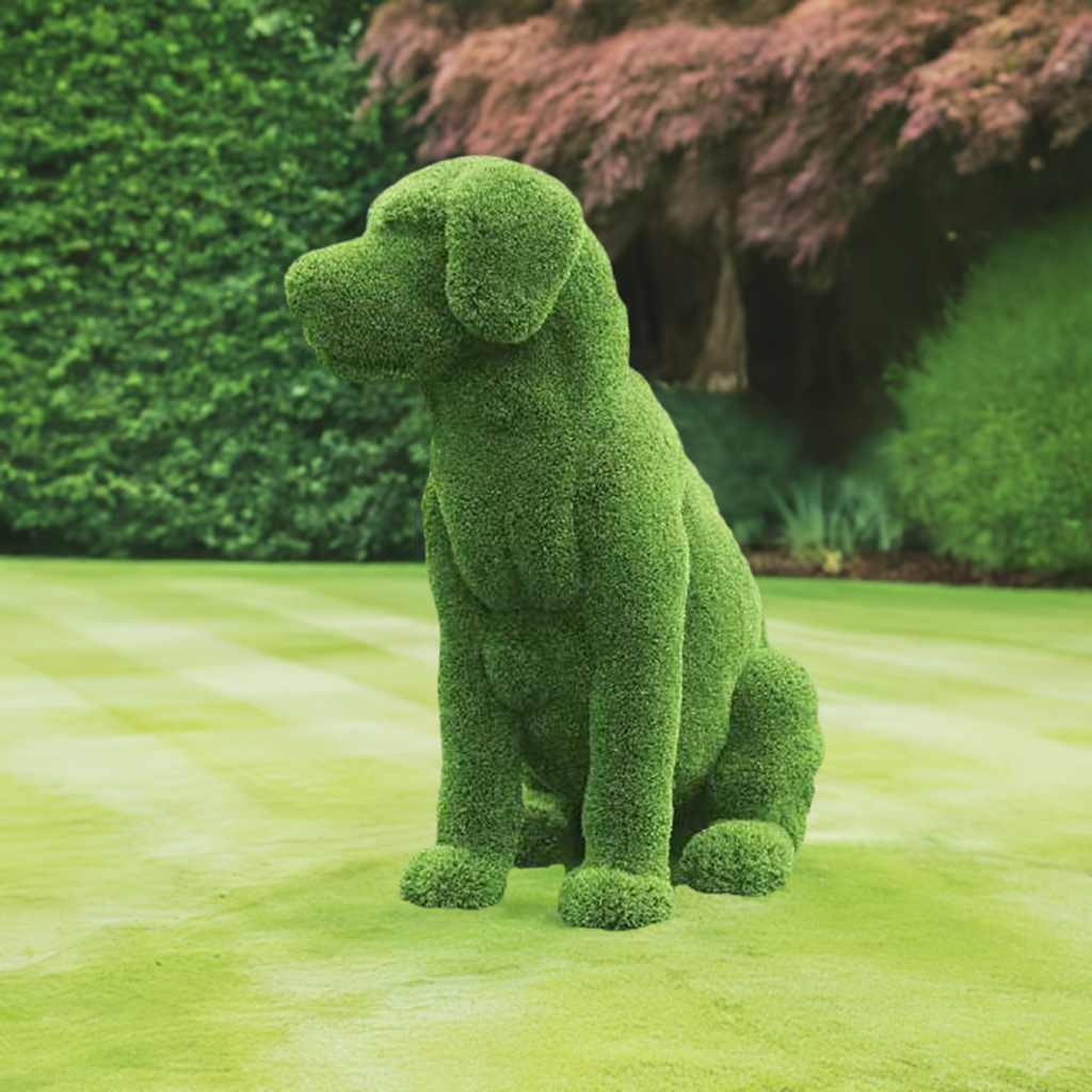 Premium Faux Topiary - Sitting Labrador