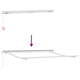 Manual Retractable Awning Light Grey 300x250 cm